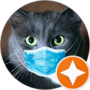 Alicia N. profile picture