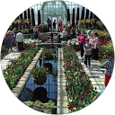 Carol K. profile picture